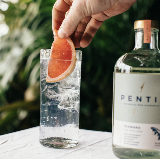 Sparkling non-alcoholic botanical drink with fresh citrus garnish on a table