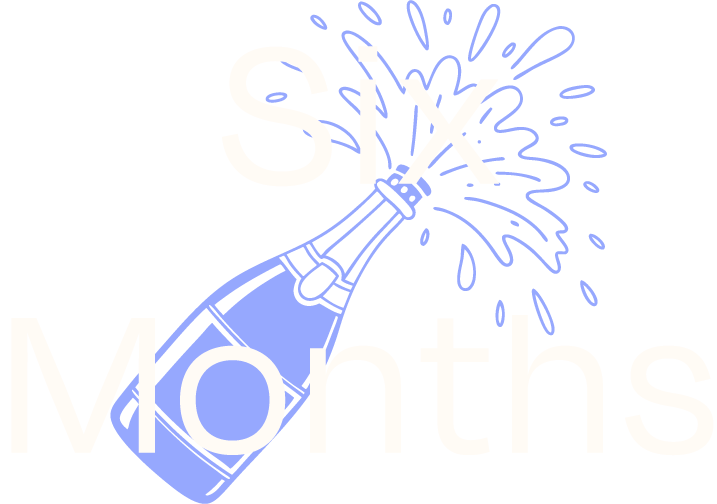 6 months illustration/icon.